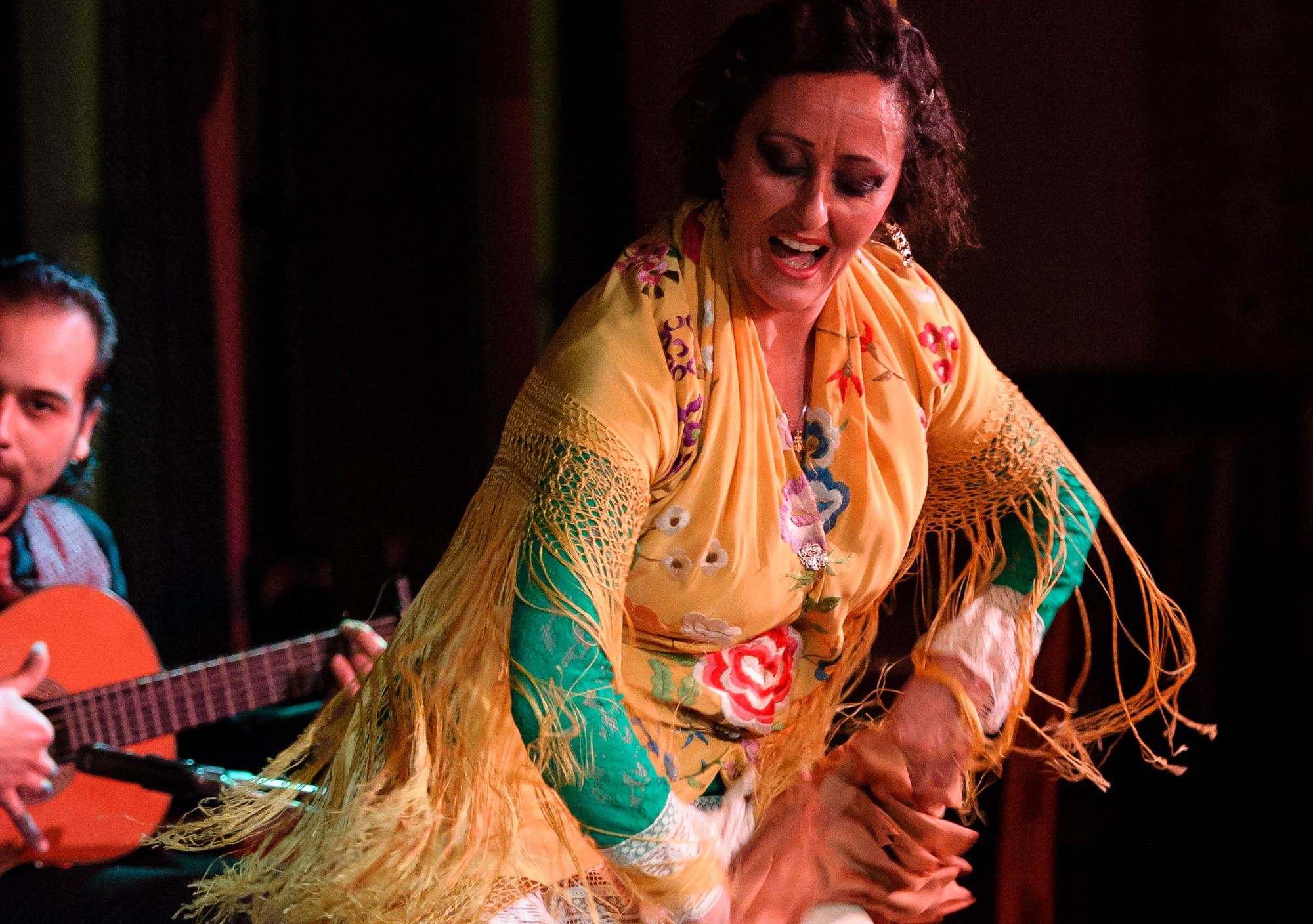 Flamenco show in Granada